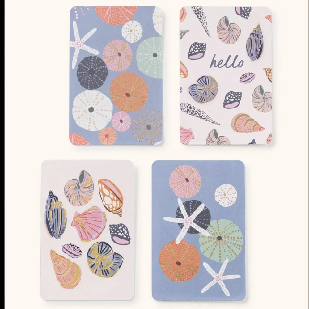 Studio Oh - Seaside Discoveries Assorted Note Card Set with Stickers